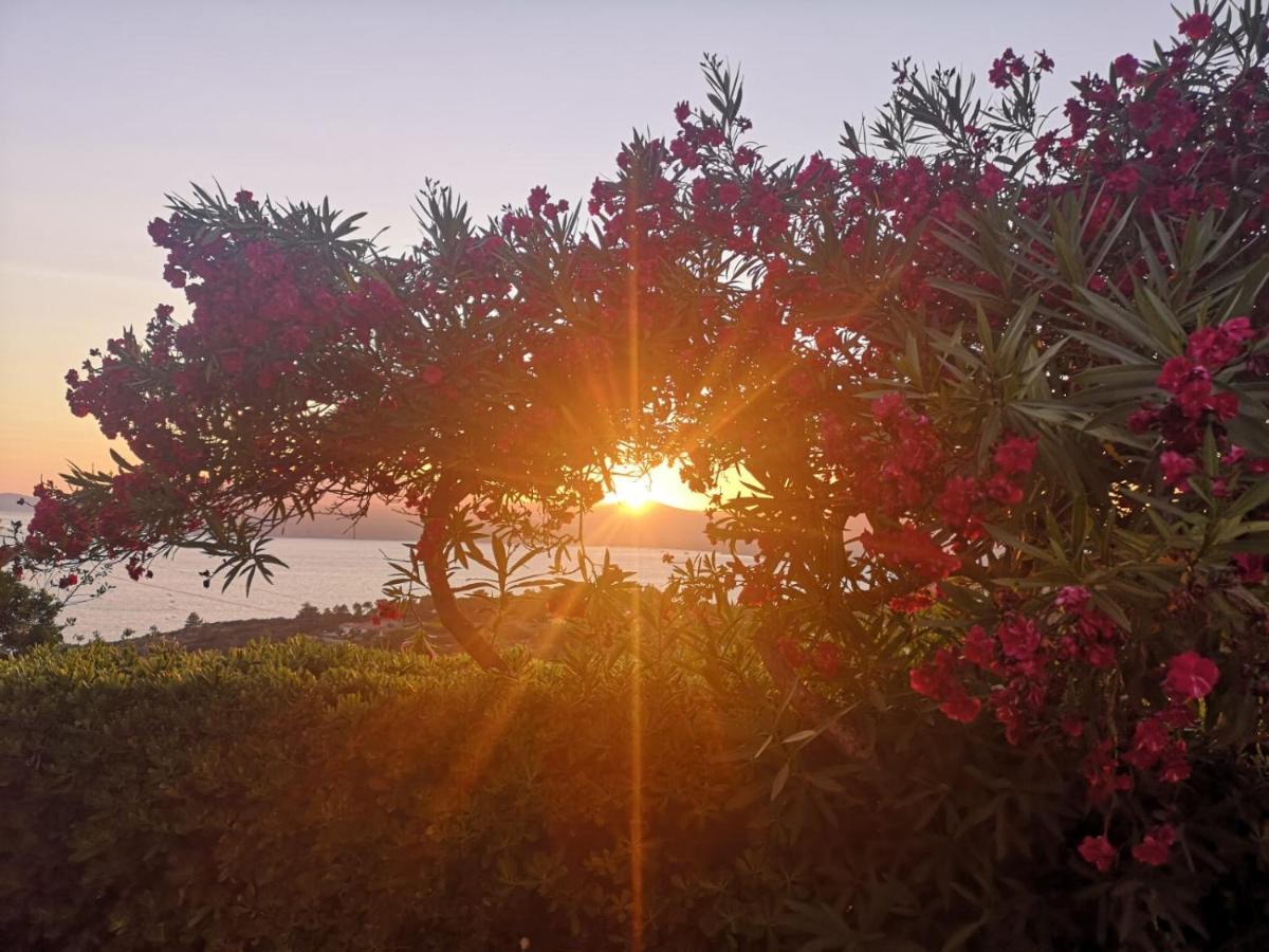 La Casa Sul Tramonto - Capoliveri - Services Included Экстерьер фото